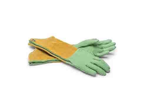 gloves  01